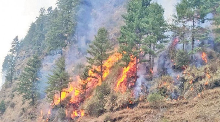 फेरि बल्यो मनाङको जंगलमा आगो